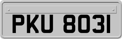 PKU8031