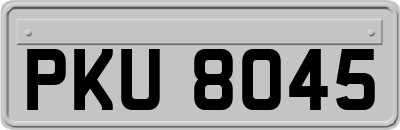 PKU8045