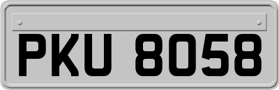 PKU8058