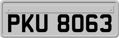 PKU8063