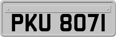 PKU8071