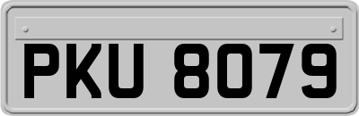 PKU8079