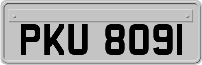 PKU8091