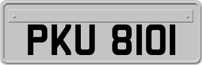 PKU8101