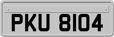 PKU8104