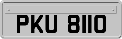 PKU8110
