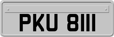 PKU8111