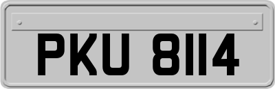 PKU8114