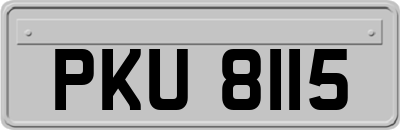 PKU8115