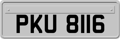 PKU8116