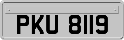 PKU8119
