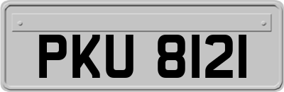 PKU8121