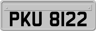 PKU8122