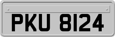 PKU8124