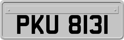 PKU8131