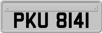 PKU8141