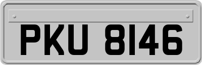 PKU8146