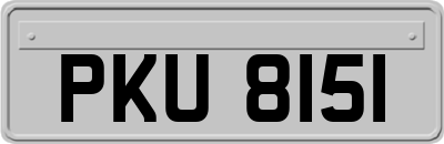 PKU8151