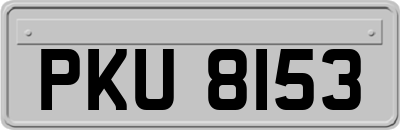PKU8153