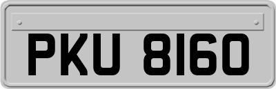 PKU8160