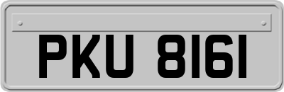 PKU8161