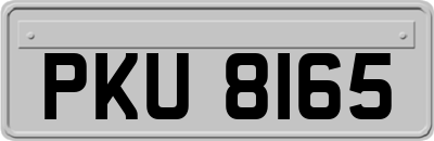 PKU8165