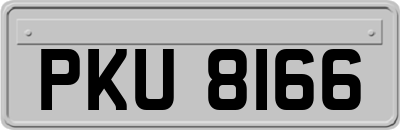 PKU8166