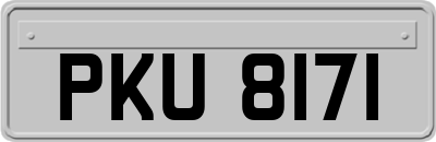 PKU8171