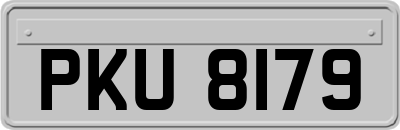 PKU8179