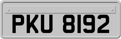 PKU8192