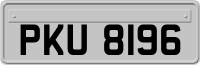 PKU8196