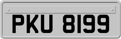 PKU8199
