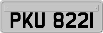 PKU8221