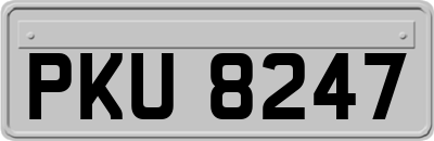PKU8247