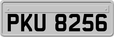 PKU8256