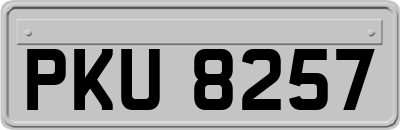 PKU8257