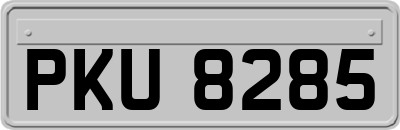 PKU8285