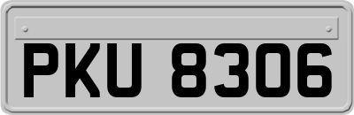 PKU8306