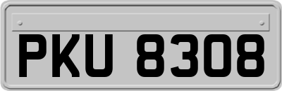 PKU8308