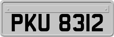PKU8312