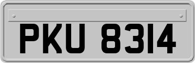PKU8314