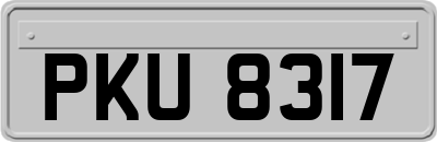 PKU8317