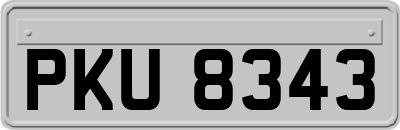 PKU8343