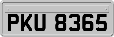 PKU8365