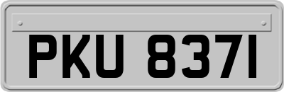 PKU8371