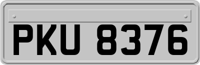 PKU8376