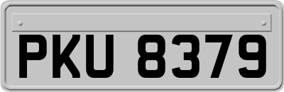 PKU8379