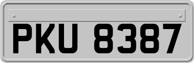 PKU8387