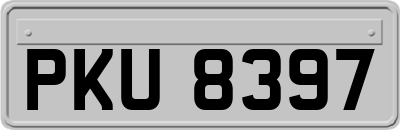 PKU8397