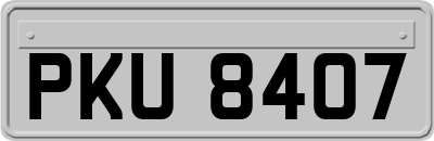 PKU8407